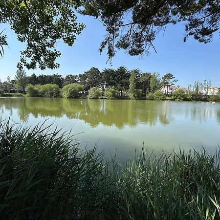 Moderne 2 Pieces, 4 Couchages, Terrasse Et Parking Securise A - Fr-1-224c-351