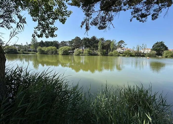 Moderne 2 Pieces, 4 Couchages, Terrasse Et Parking Securise A - Fr-1-224c-351