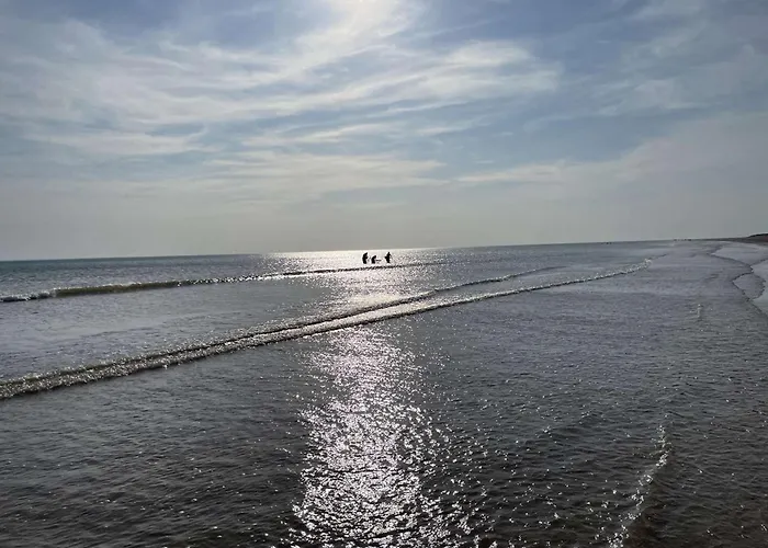 Moderne 2 Pieces, 4 Couchages, Terrasse Et Parking Securise A - Fr-1-224c-351 דירה סן ז'אן דה מון