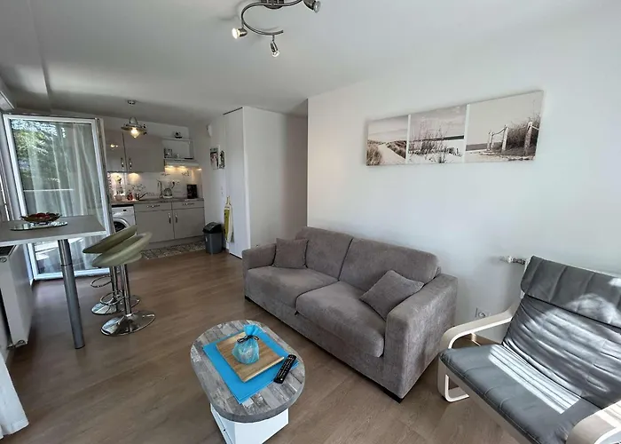 דירה Moderne 2 Pieces, 4 Couchages, Terrasse Et Parking Securise A - Fr-1-224c-351 *